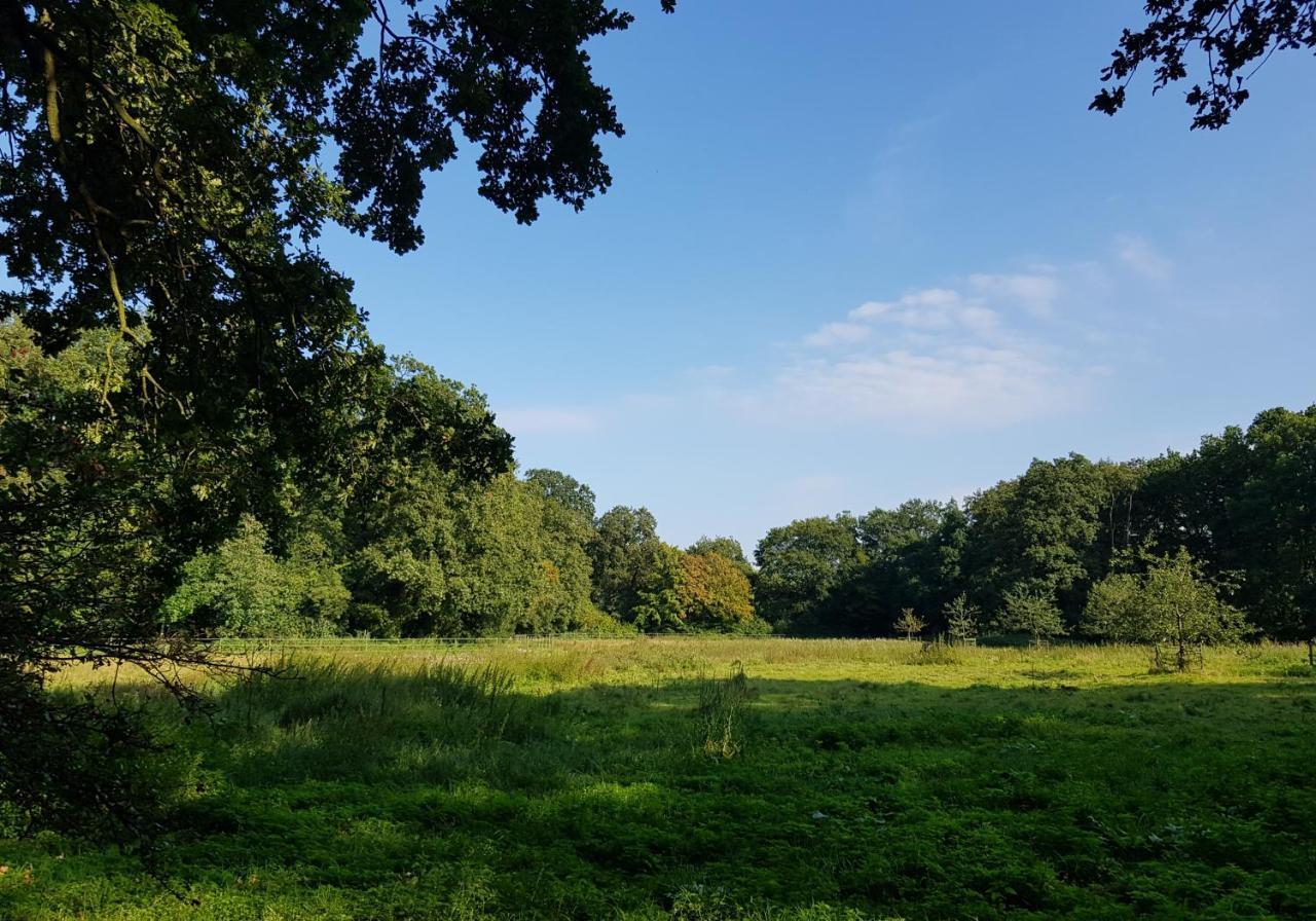 Wohlfuehloase Am Bad Zwischenahner Meer 外观 照片