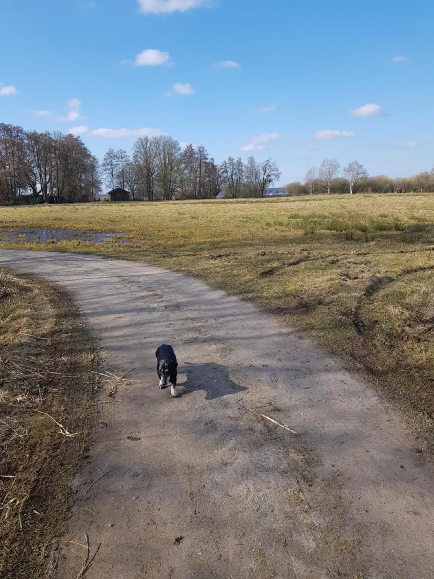 Wohlfuehloase Am Bad Zwischenahner Meer 外观 照片
